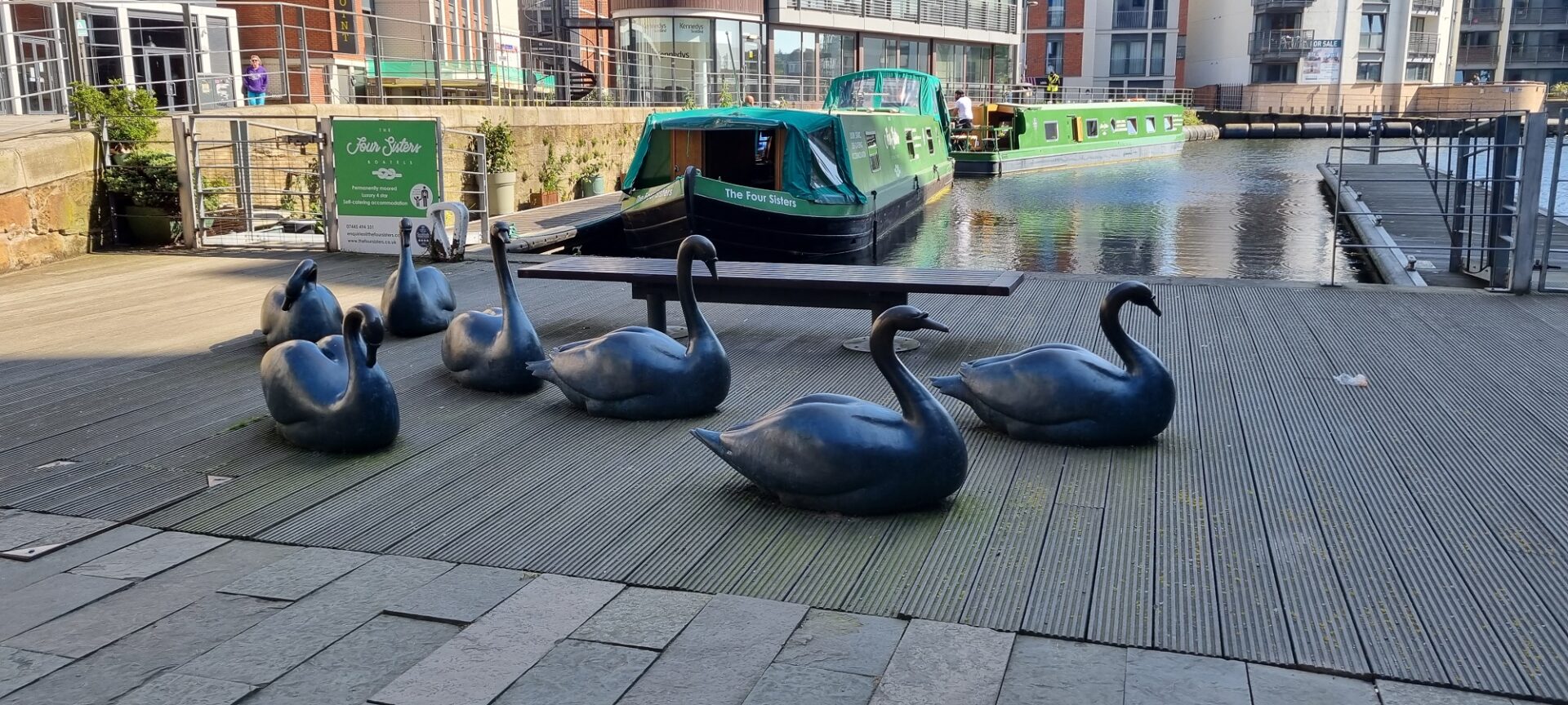 Bronze Swans