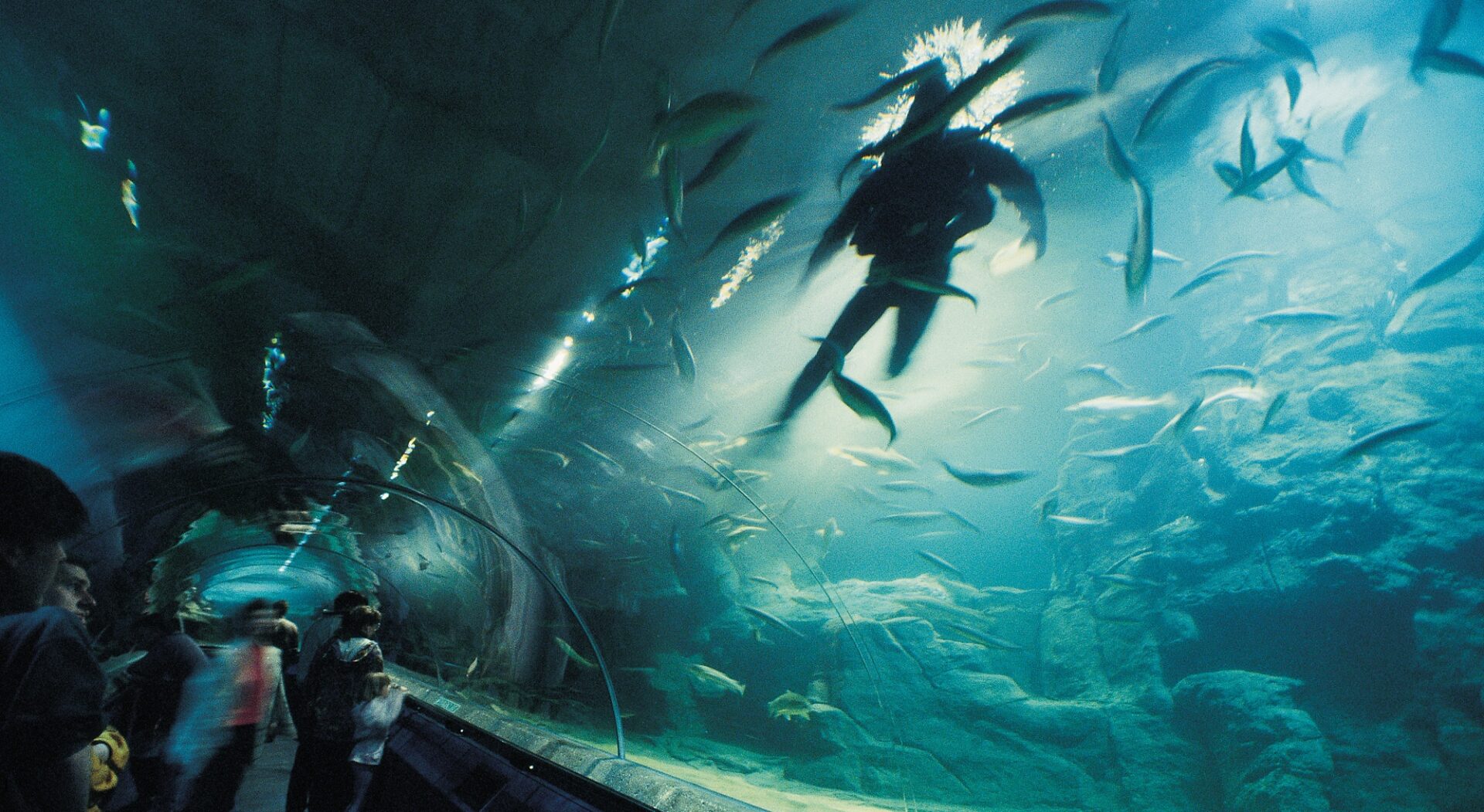Deep Sea World